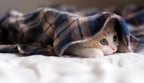 Бабье лето подходит к концу: когда в Украине ощутимо похолодает