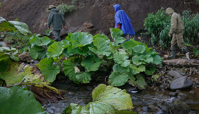 В России пропали девять членов географического общества: что произошло