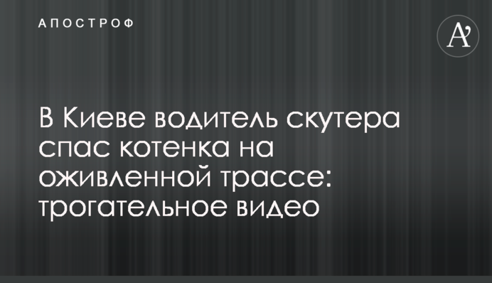 У Києві водій скутера врятував кошеня на жвавій трасі: зворушливе відео