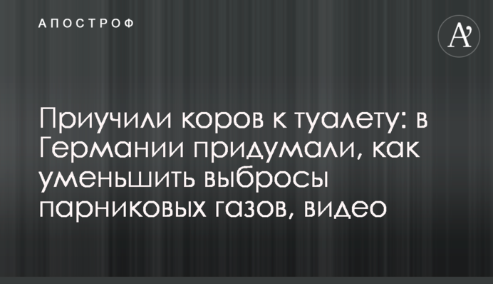 Приучили коров к туалету: в Германии придумали, как уменьшить выбросы парниковых газов, видео