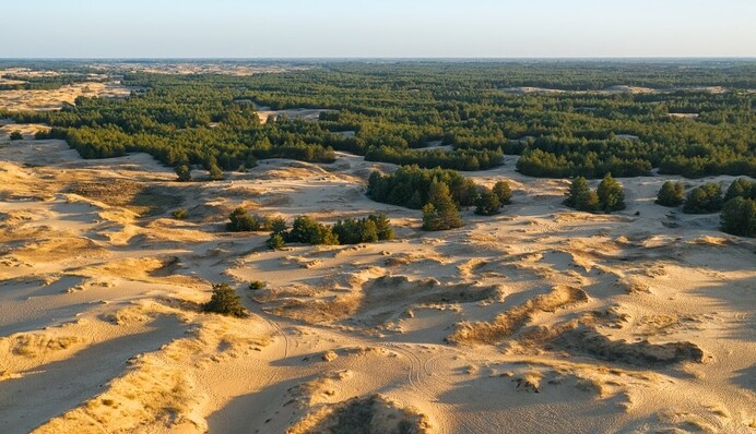 Украина превратится в пустыню: ученый рассказал, как климат может уничтожить страну