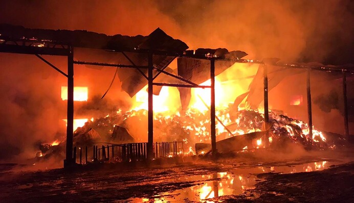 На Закарпатті сталася смертельна пожежа: вогонь вдалося загасити під ранок