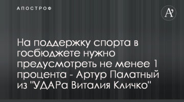На підтримку спорту в держбюджеті потрібно передбачити не менше 1 відсотка - Артур Палатний з "УДАРу Віталія Кличка"
