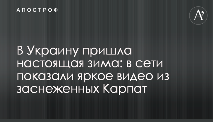 В Україну прийшла справжня зима: в мережі показали яскраве відео з засніжених Карпат