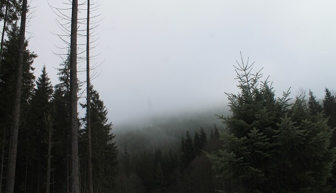 В Україні закликали утриматися від походів у гори: що відбувається