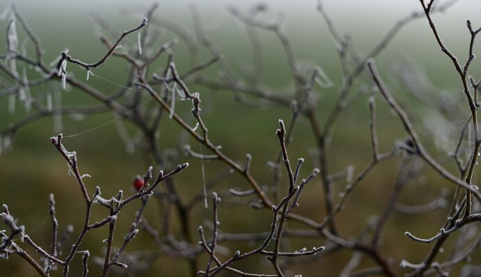 Заморозки і багато опадів: синоптик засмутив прогнозом на жовтень