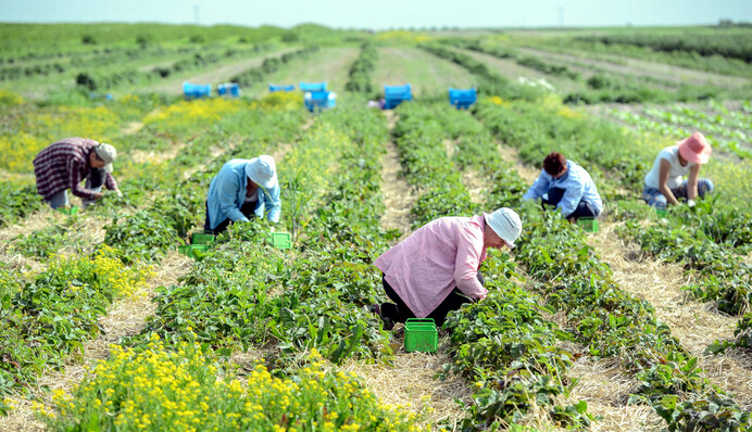 У Польщі нестача працівників з України - відкриті тисячі вакансій
