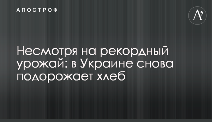 Незважаючи на рекордний урожай: в Україні знову подорожчає хліб