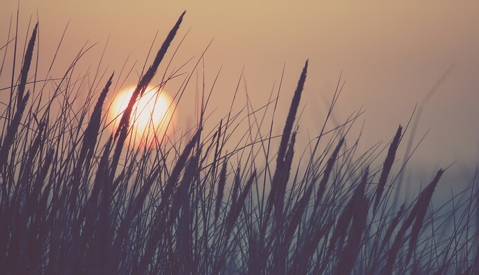 ​Не нужно мерзнуть в квартирах: синоптик дала прогноз погоды в Украине на неделю