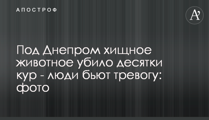 Під Дніпром хиже тварина вбила десятки курей - люди б'ють на сполох: фото