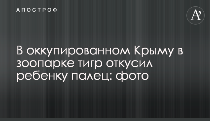 В оккупированном Крыму в зоопарке тигр откусил ребенку палец: фото