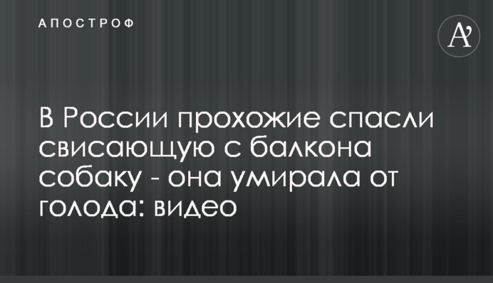 У Росії перехожі врятували собаку, що звисала з балкону - вона вмирала від голоду: відео