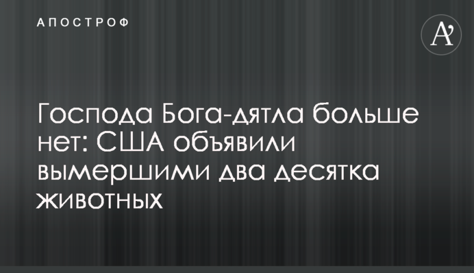 Господа Бога-дятла більше немає: США оголосили вимерлими два десятки тварин
