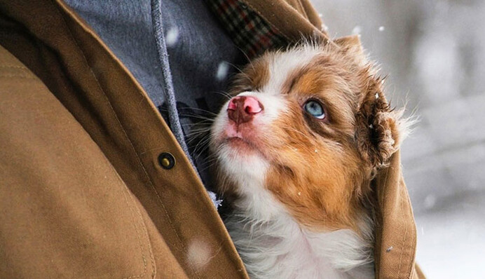 Названы два самых 