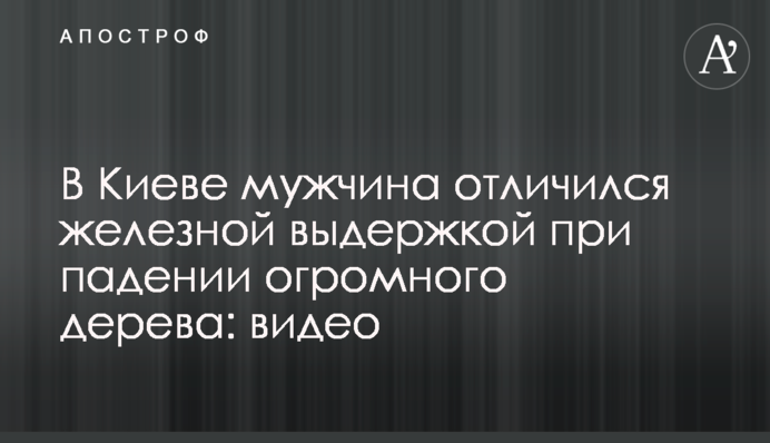 У Києві чоловік відзначився залізною витримкою при падінні величезного дерева: відео