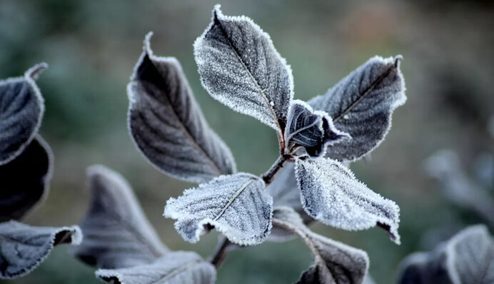 Ночью заморозки, а днем до 19 градусов: какой будет погода на выходных