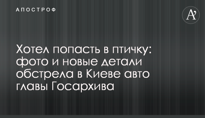 Хотел попасть в птичку: фото и новые детали обстрела в Киеве авто главы Госархива