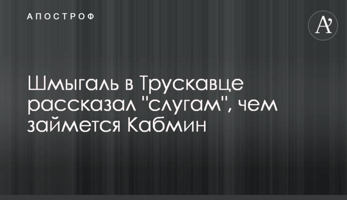 Шмыгаль в Трускавце рассказал 