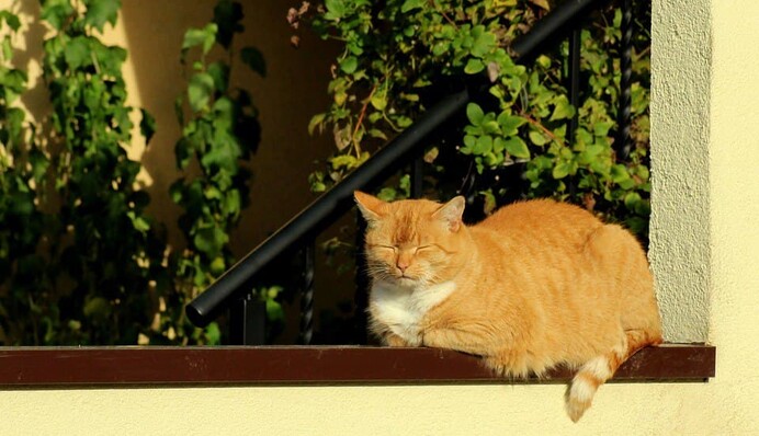 Нудьгують і впадають у відчай: яким знакам Зодіаку протипоказана осінь