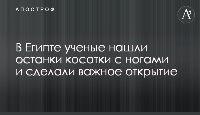 В Египте ученые нашли останки косатки с ногами и сделали важное открытие