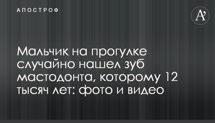​Мальчик на прогулке случайно нашел зуб мастодонта, которому 12 тысяч лет: фото и видео