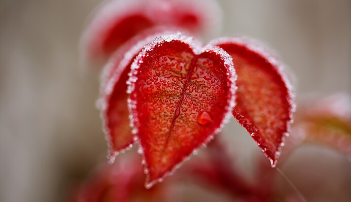 Діставайте теплі речі: Україну вдарять морози до 5 градусів