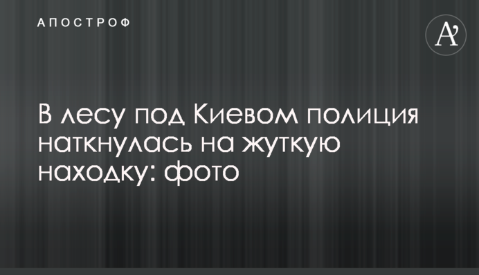 В лесу под Киевом полиция наткнулась на жуткую находку: фото