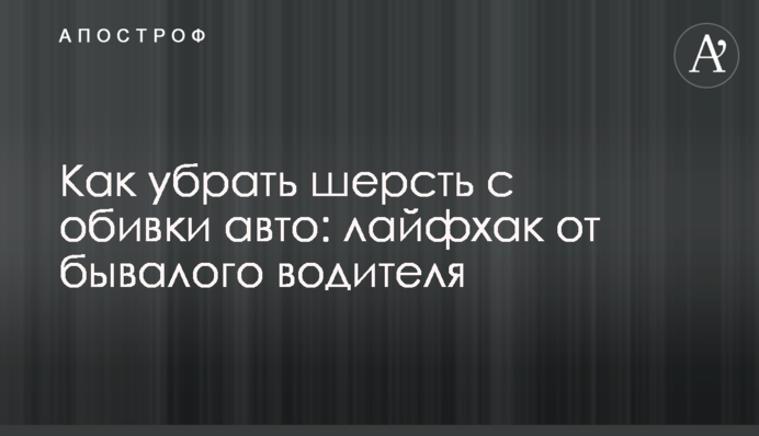 Як прибрати шерсть з оббивки авто: лайфхак від бувалого водія