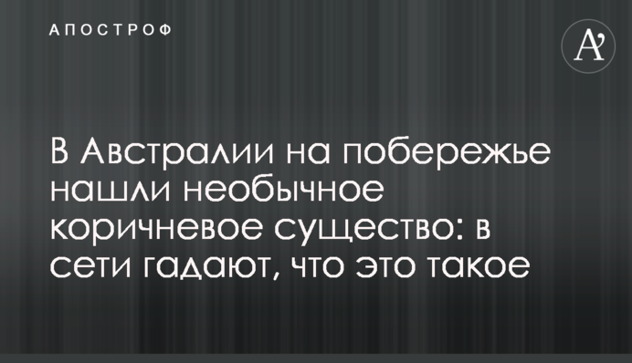 В Австралії на узбережжі знайшли незвичайну коричневу істоту: у мережі гадають, що це таке