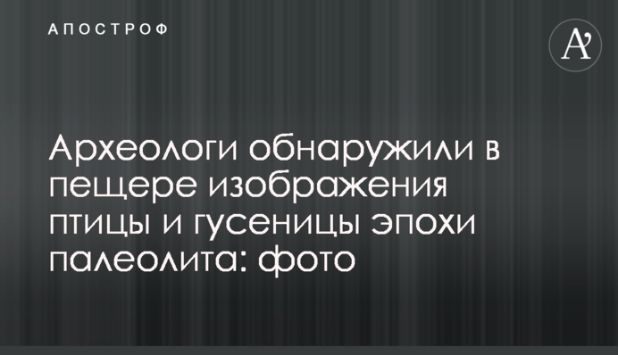 Археологи виявили в печері зображення птиці і гусениці епохи палеоліту: фото