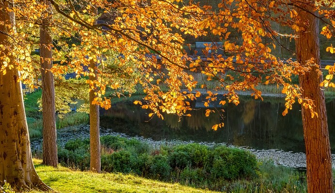 В Україну увірветься тепло: яких сюрпризів чекати від погоди в кінці тижня