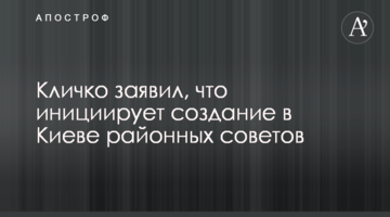 Кличко заявив, що ініціює створення у Києві районних рад