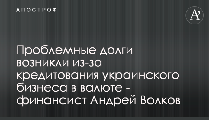 Проблемные долги возникли из-за кредитования украинского бизнеса в валюте - финансист Андрей Волков
