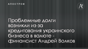 Проблемные долги возникли из-за кредитования украинского бизнеса в валюте - финансист Андрей Волков