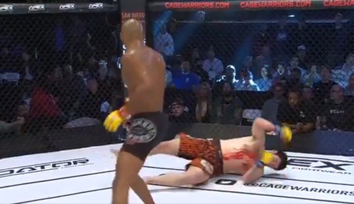 Сумасшедший нокаут: американец вырубил соперника эффектным ударом из кино, видео