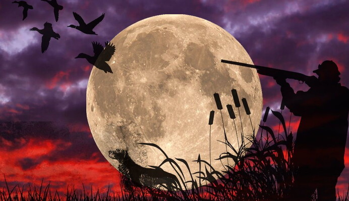 Мистическое полнолуние 20 октября: какие возможности оно открывает и что нельзя делать в этот день