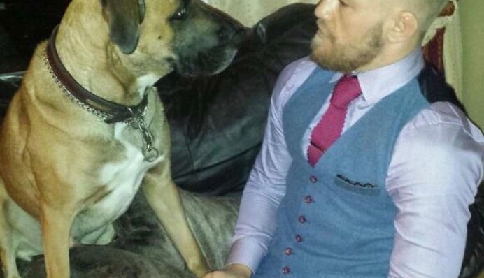 Мое сердце разбито: Макгрегор сообщил о тяжелой утрате в семье, фото