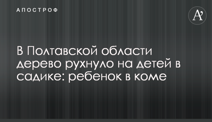 В Полтавской области дерево рухнуло на детей в садике: ребенок в коме