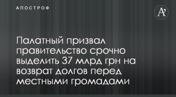 Палатний закликав уряд терміново виділити 37 млрд грн на повернення боргів перед місцевими громадами