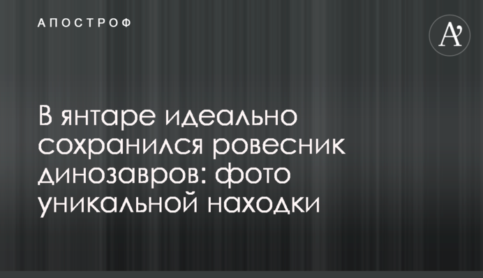 В янтаре идеально сохранился ровесник динозавров: фото уникальной находки
