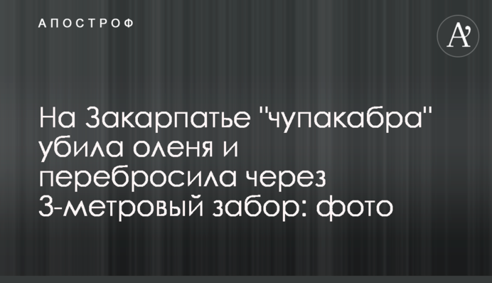 На Закарпатті 