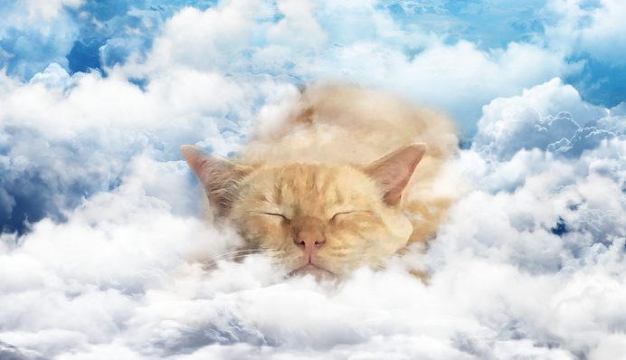 Чим порадує погода мешканців Києва: погодинний прогноз