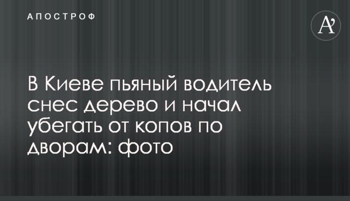 У Києві п'яний водій зніс дерево і почав тікати від копів дворами: фото
