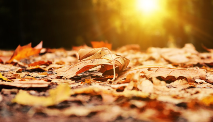 В Україні суттєво зміниться погода: чого чекати від 