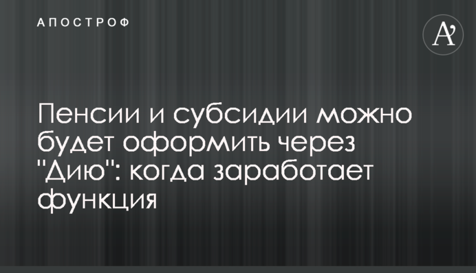Пенсии и субсидии можно будет оформить через 