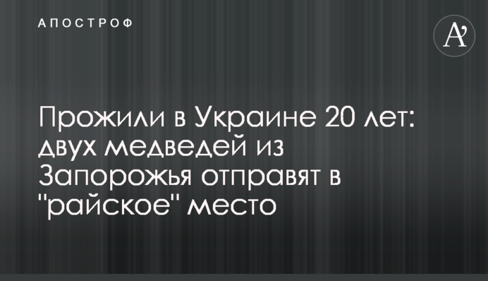 Прожили в Украине 20 лет: двух медведей из Запорожья отправят в 
