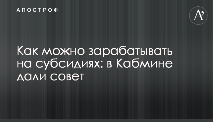 Как можно зарабатывать на субсидиях: в Кабмине дали совет