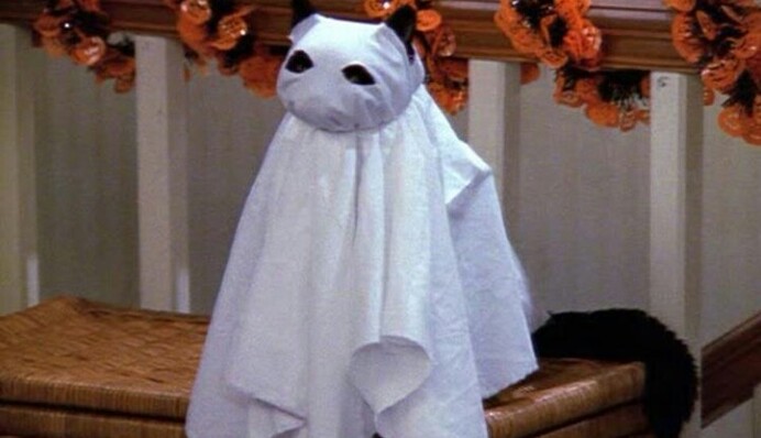 Ніч кошмарів 2021: топ-20 фотожаб про Хелловін, які змусять посміхнутися