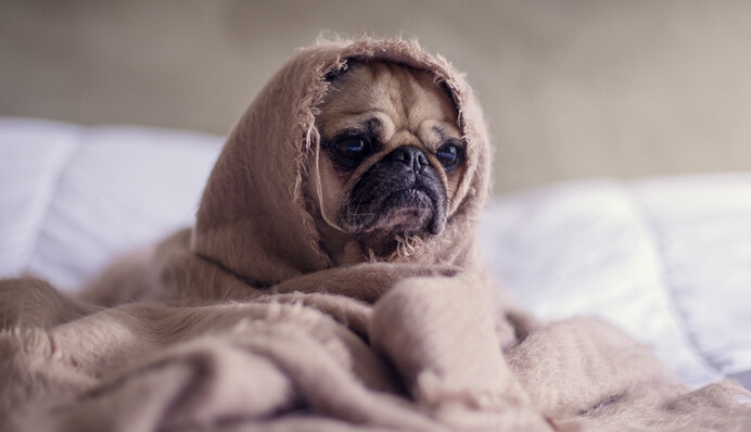 Зимнее время в Украине: советы врачей, как избавиться от усталости