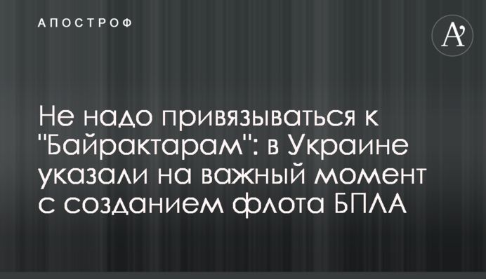 Не треба прив'язуватися до "Байрактарів": в Україні вказали на важливий момент зі створенням флоту БПЛА